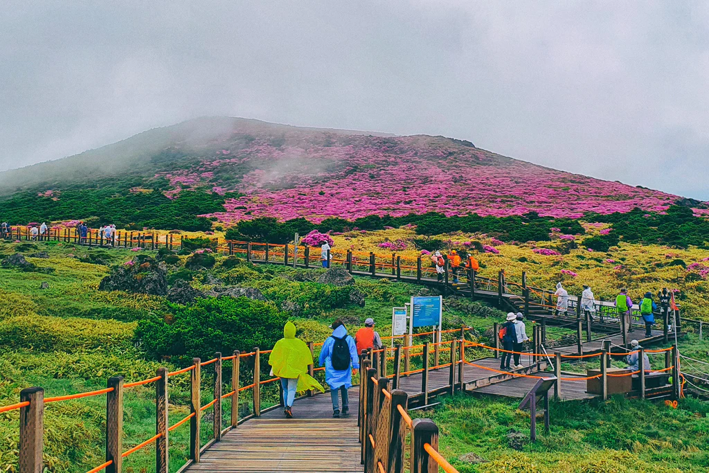 jeju-island-view