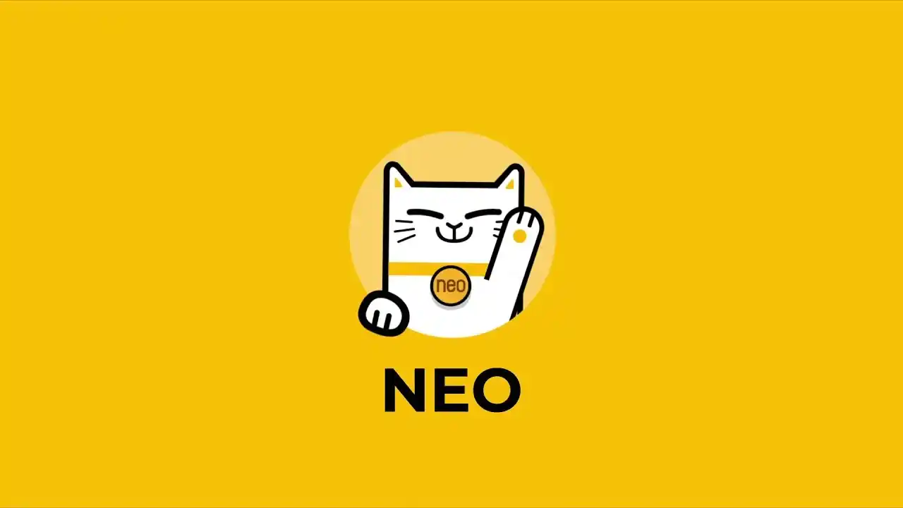 neo bank