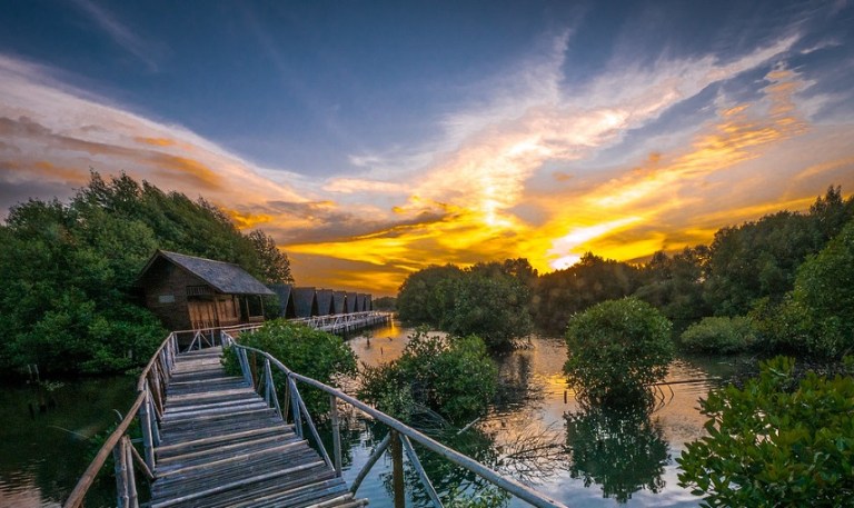 Hutan Mangrove PIK (source: superadventure)